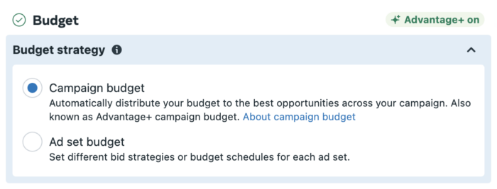 Advantages Activity Budget